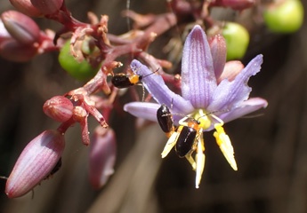 PA280794a.jpg
